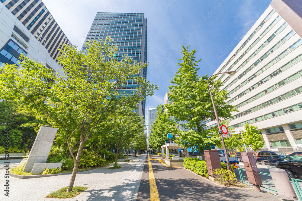 新緑と東京のビル群