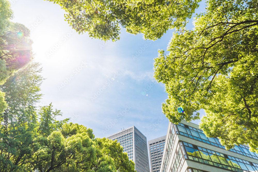 新緑と東京のビル群