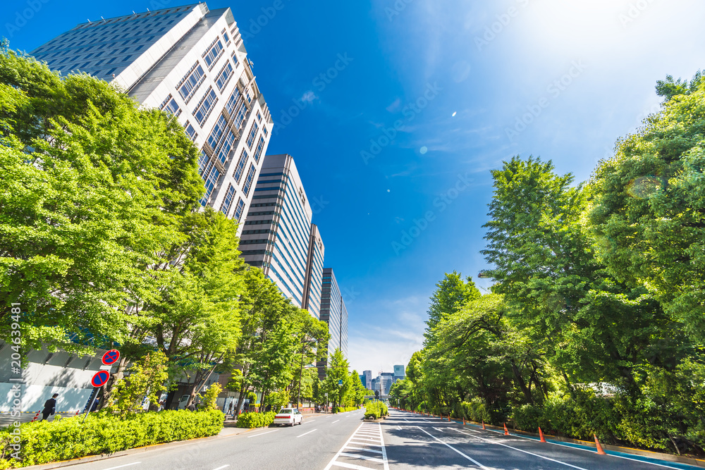 新緑と東京のビル群