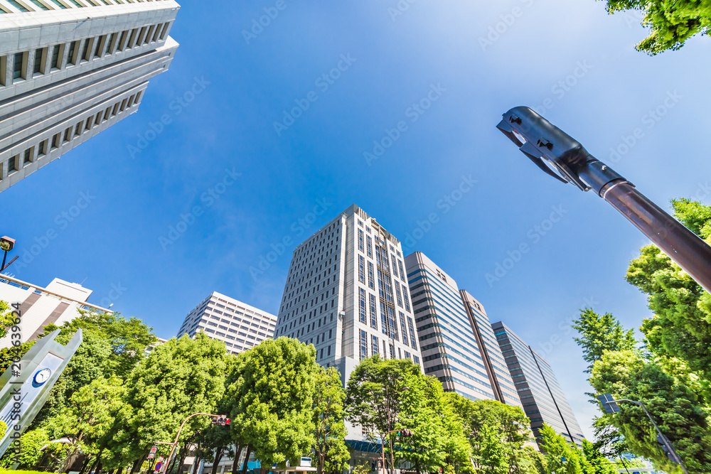 新緑と東京のビル群