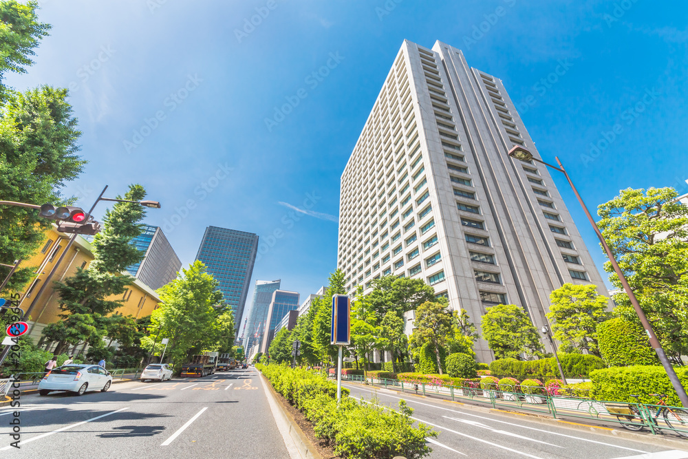 新緑と東京のビル群