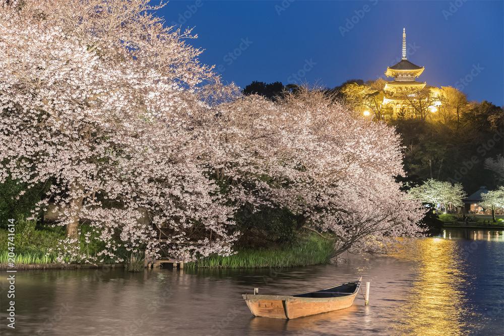 横滨产经花园，樱花盛开的传统典型日式花园