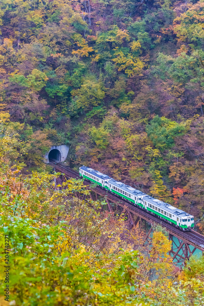 秋天的福岛三岛町田见线