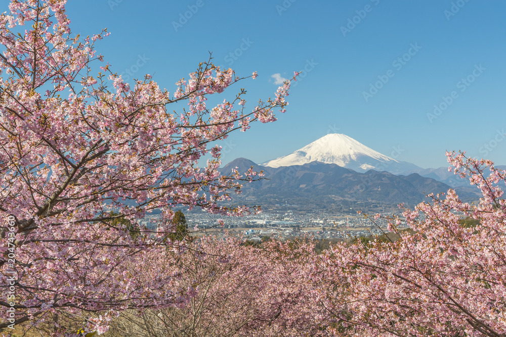 春日的川津坂原和富士山