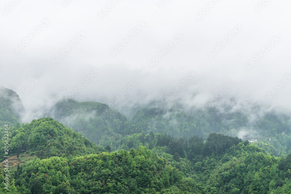 山景