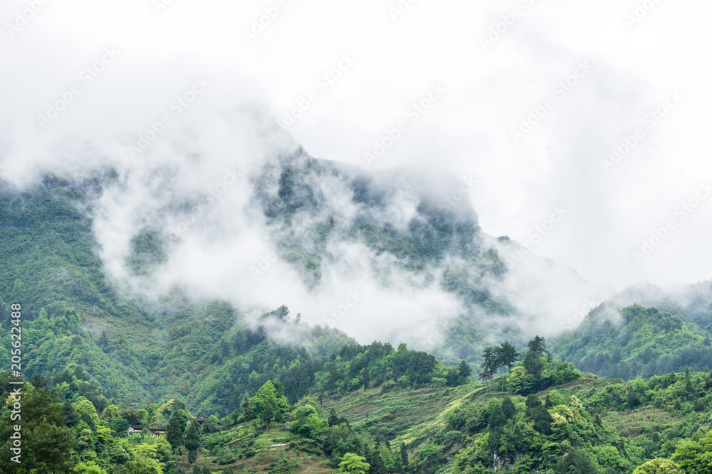 山景