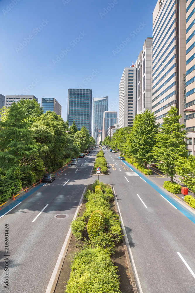 新緑と東京のビル群