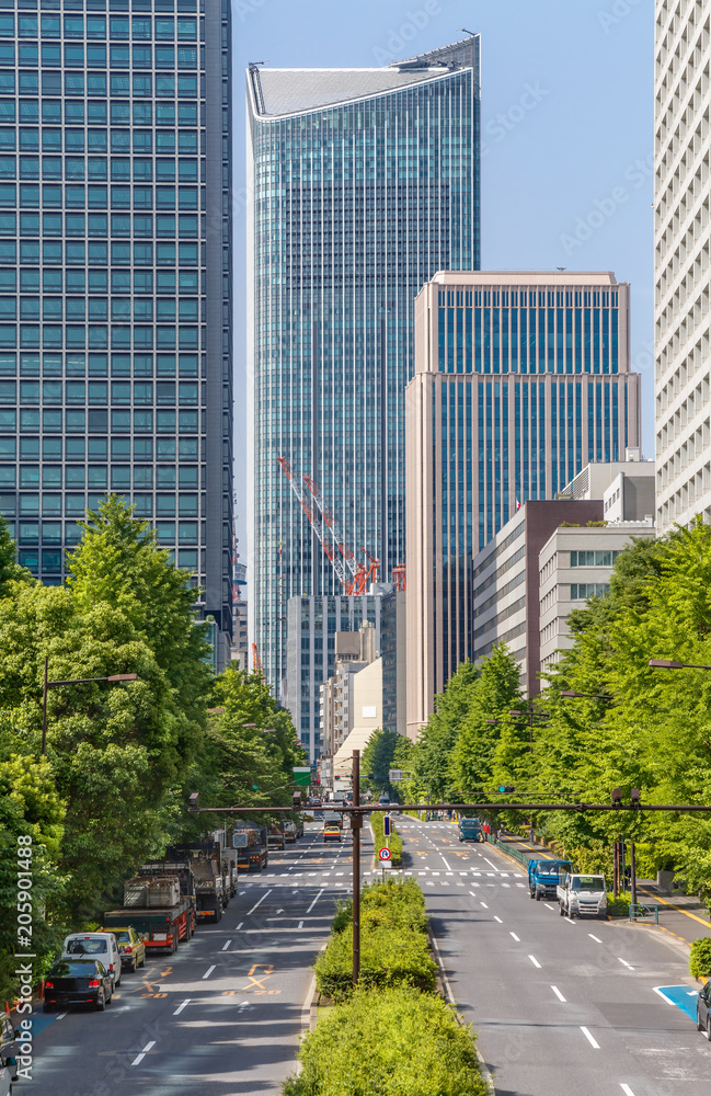 新緑と東京のビル群