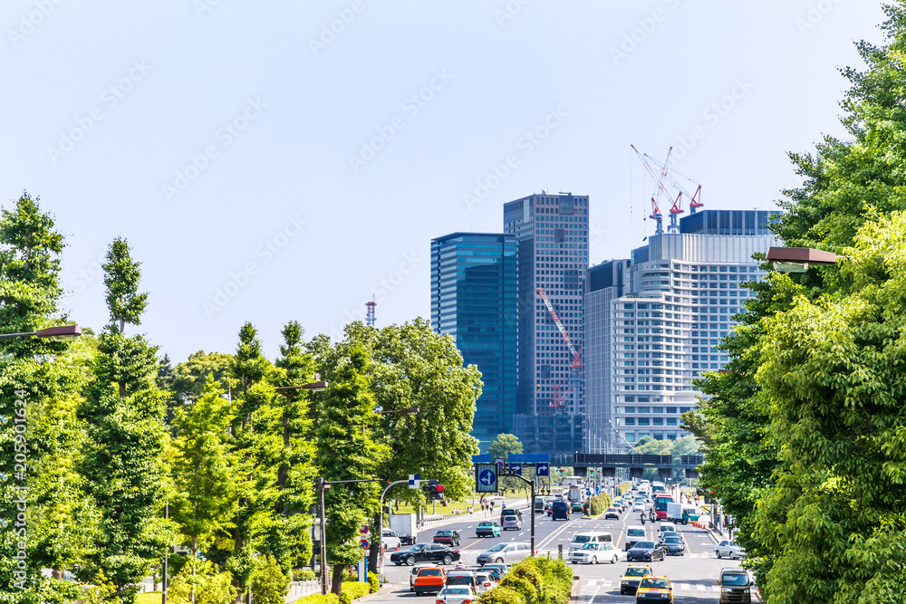 新緑と東京のビル群