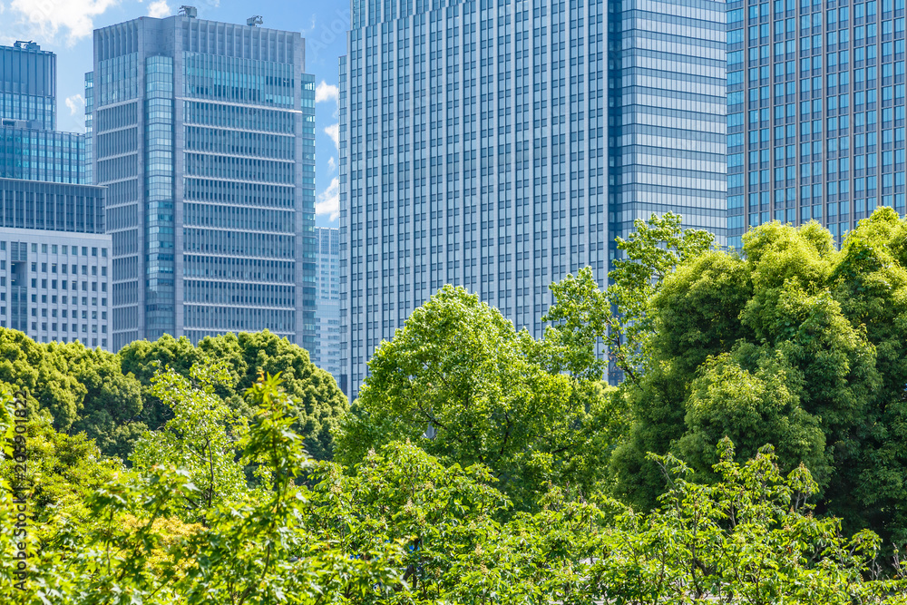 新緑と東京のビル群