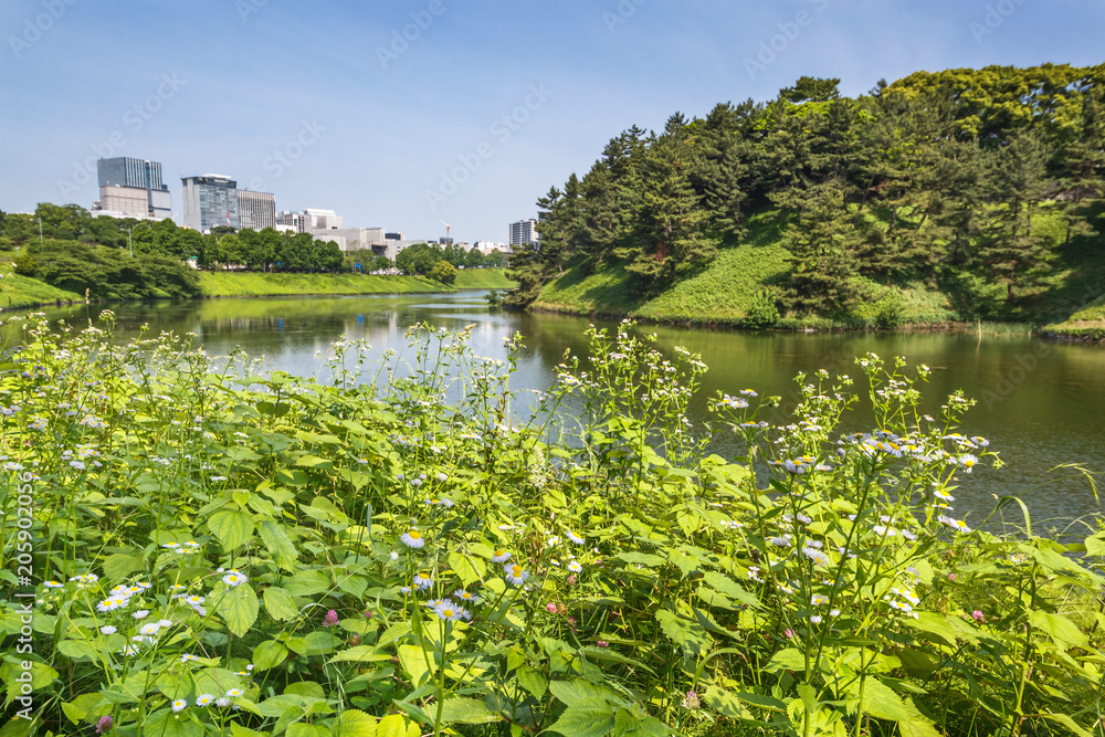 東京都市部の自然