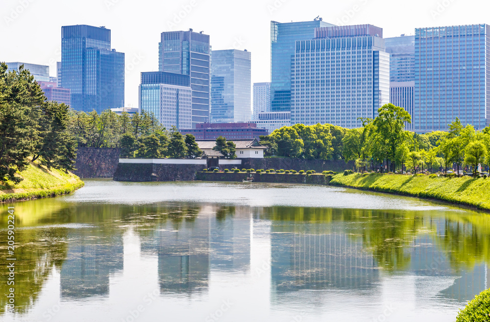 新緑と東京のビル群