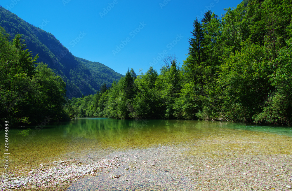 森林与河流