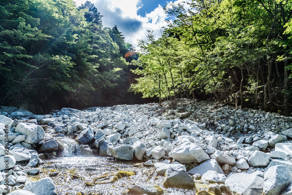 山奥の川