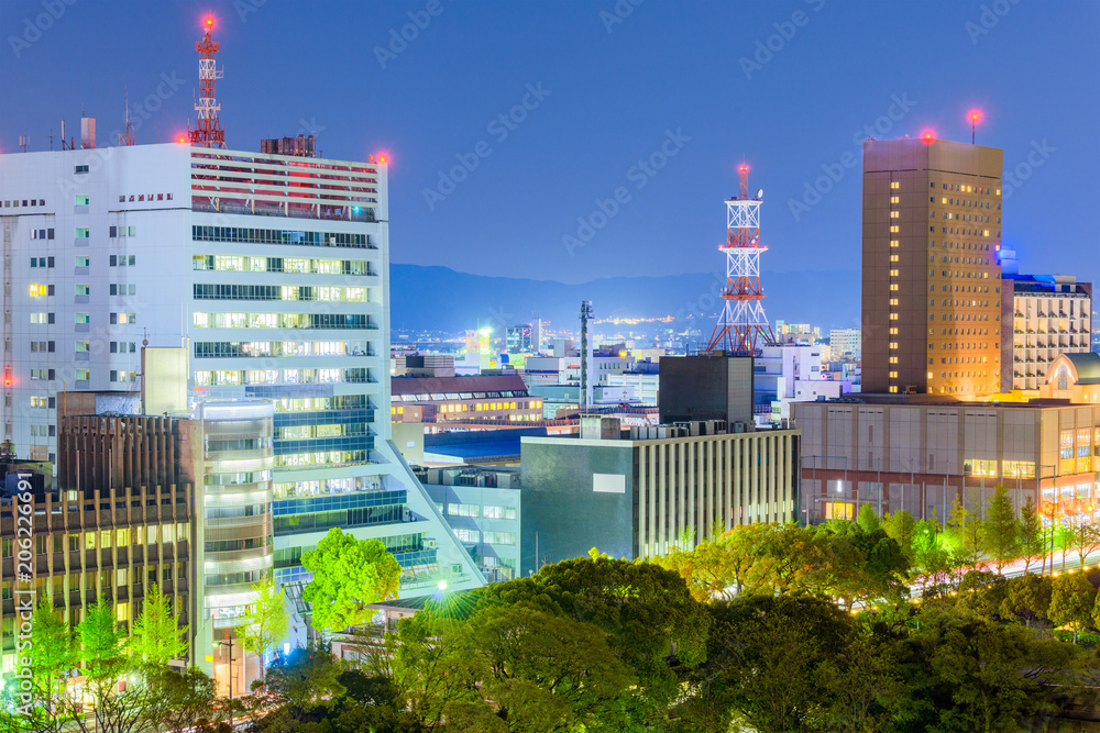 日本和歌山市城市景观