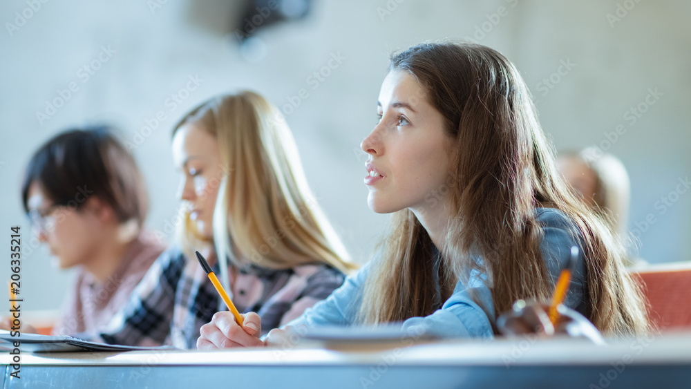 美丽的年轻女孩在课堂上听讲座。多元化的多民族学生群体S