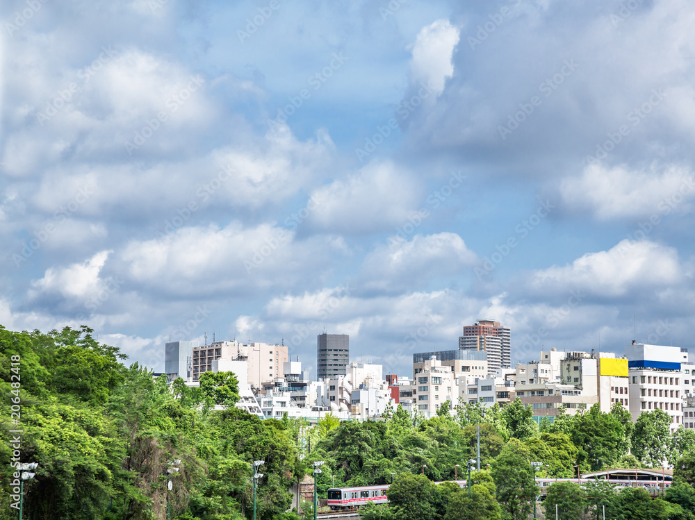 東京の新緑と空