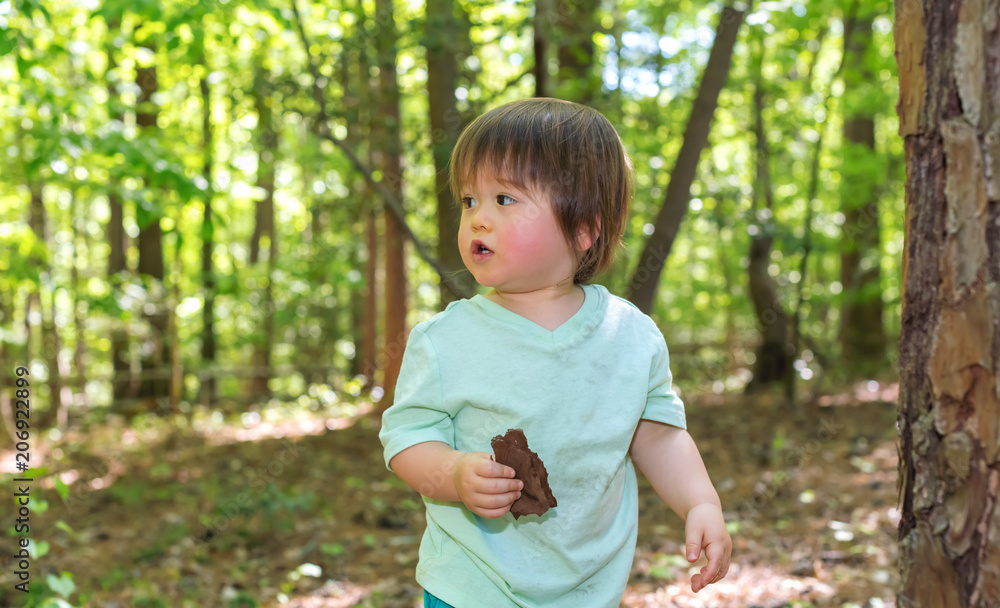 Young toddler boy playing in the forest