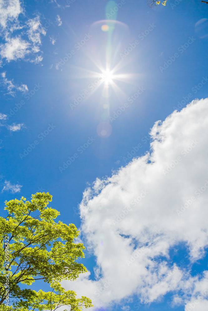 青空と雲と新緑