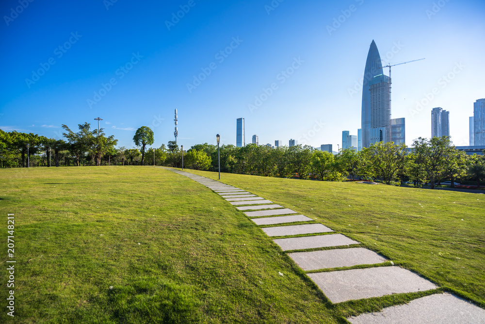 中国深圳城市天际线