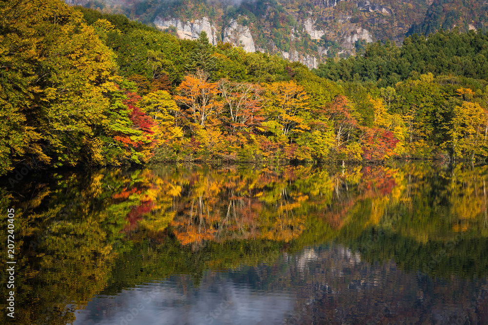 Togakushis湖，秋天早晨的Kagami池