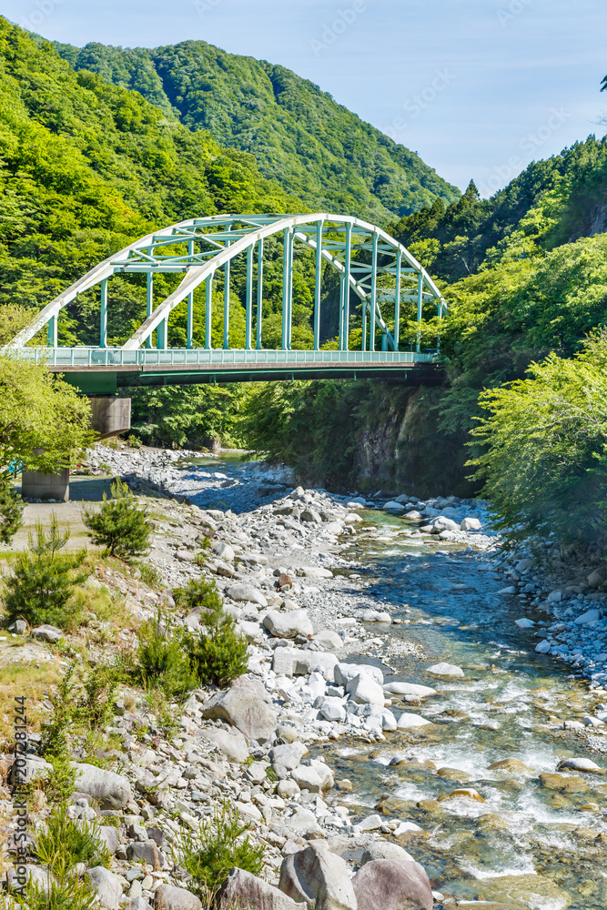 山の中の橋