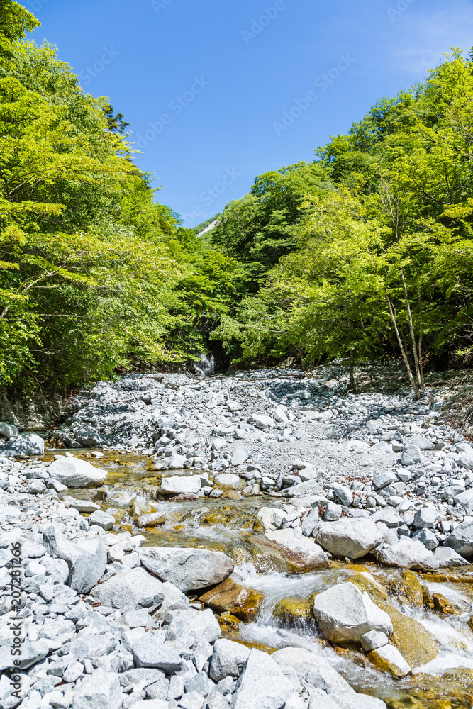 新緑と小川