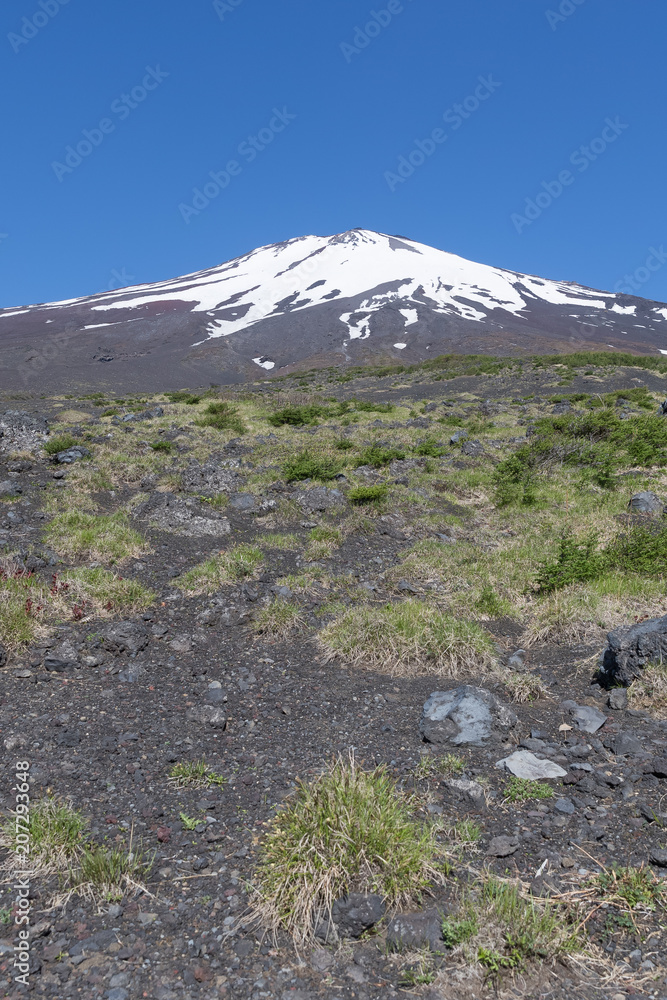 富士山之巅，雪与春天的富士山自然休闲林径