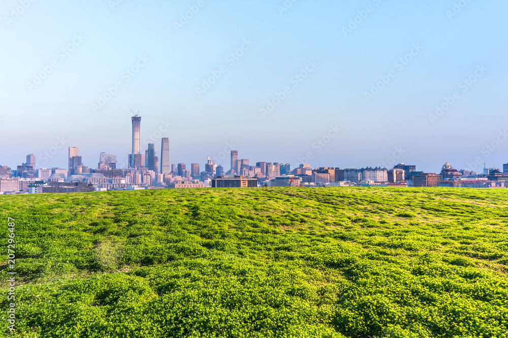 城市天际线的绿色草坪