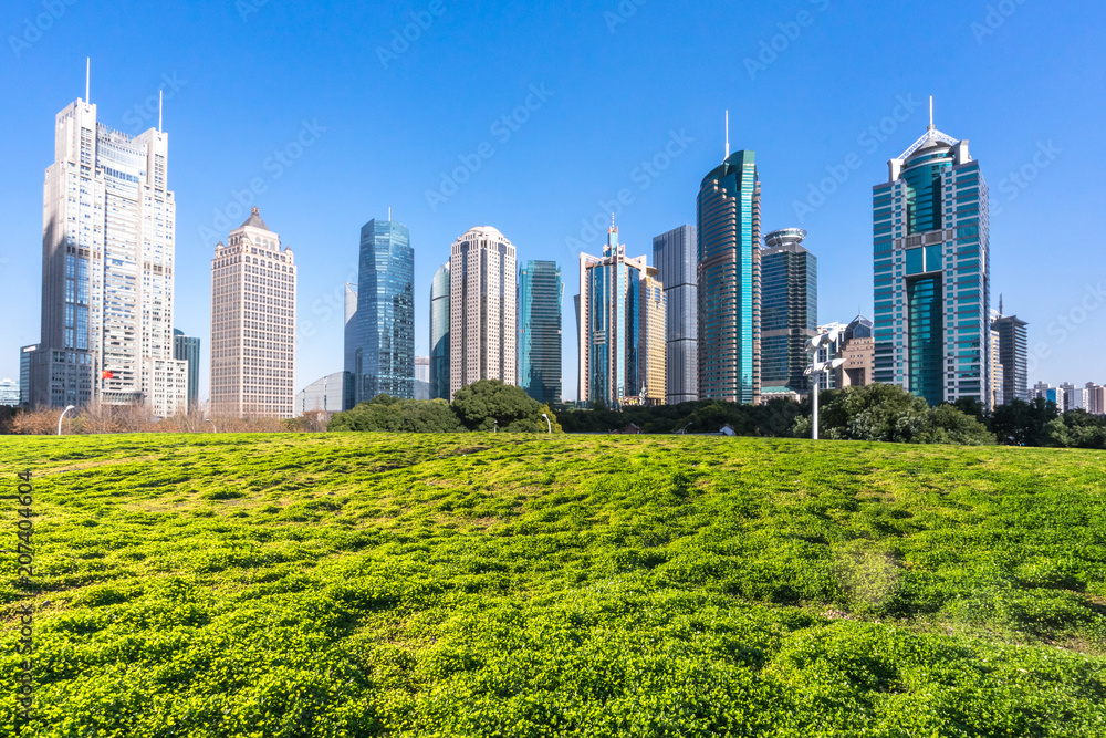 city skyline with green lawn in park