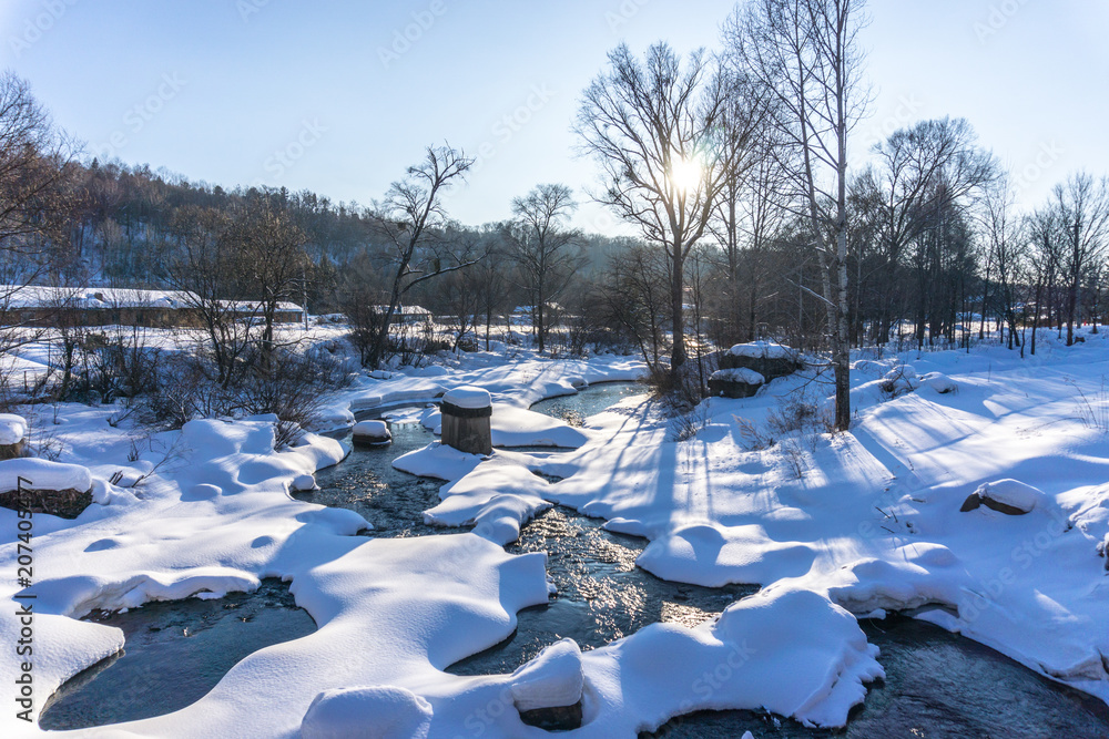 landscape of snow