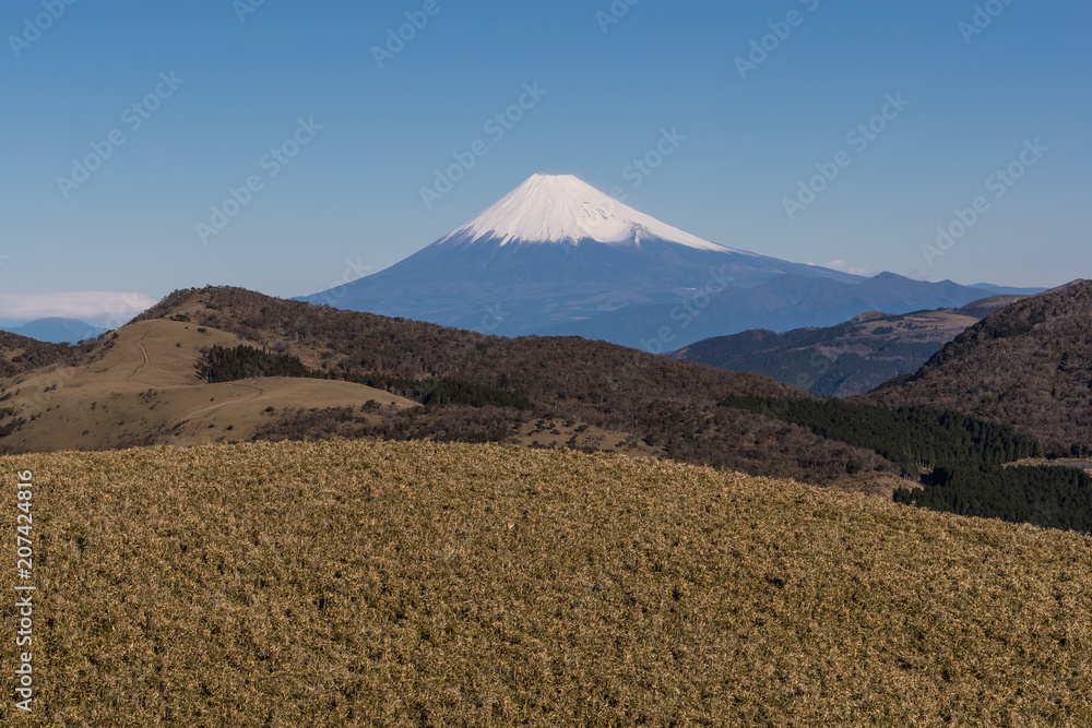 静冈县伊豆市冬季高山富士山景色