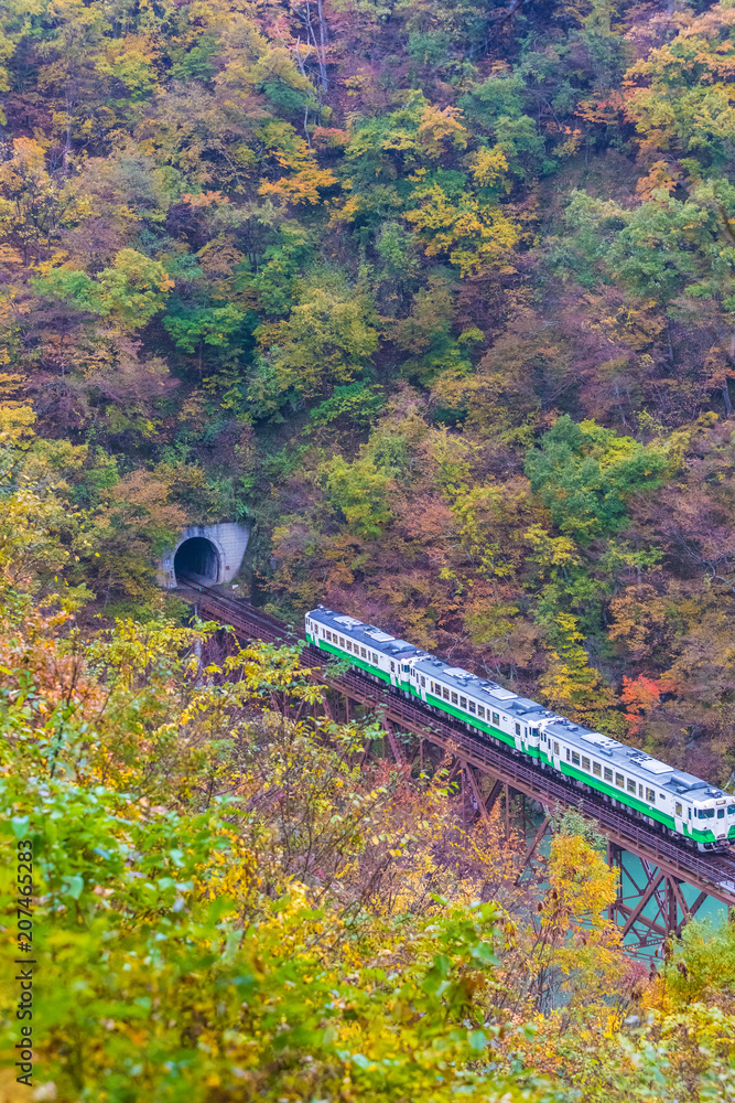 秋天的福岛三岛町田见线