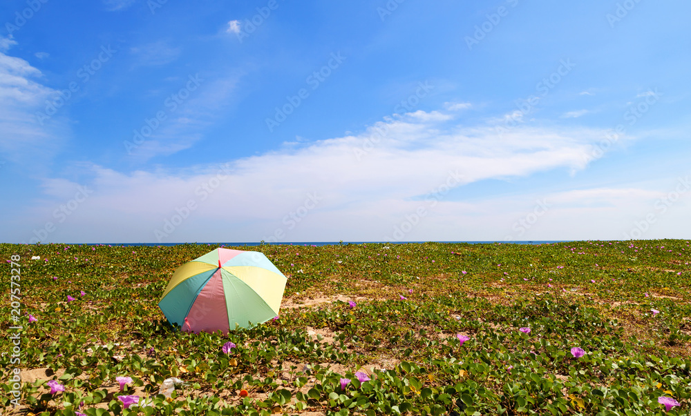 夏季海滩上的彩色雨伞。