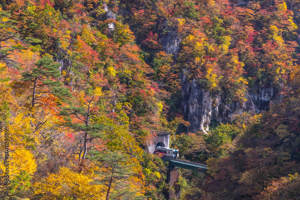 Rikuu line at Naruko gorge in autumn