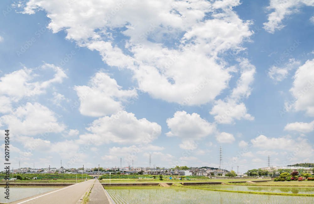 横浜郊外の風景