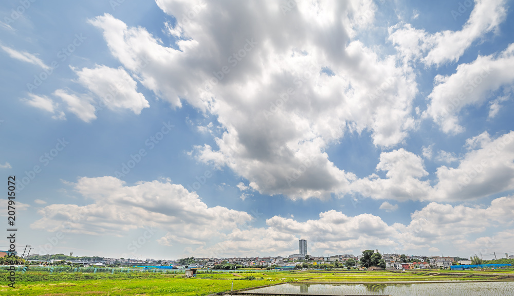 横浜郊外の風景