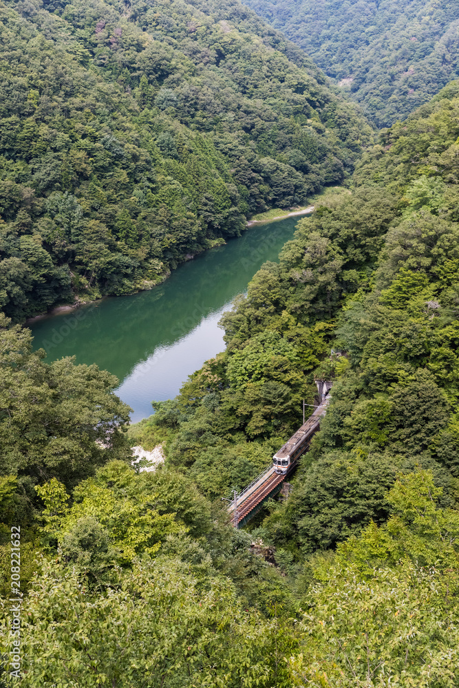 利达线和青山在夏季