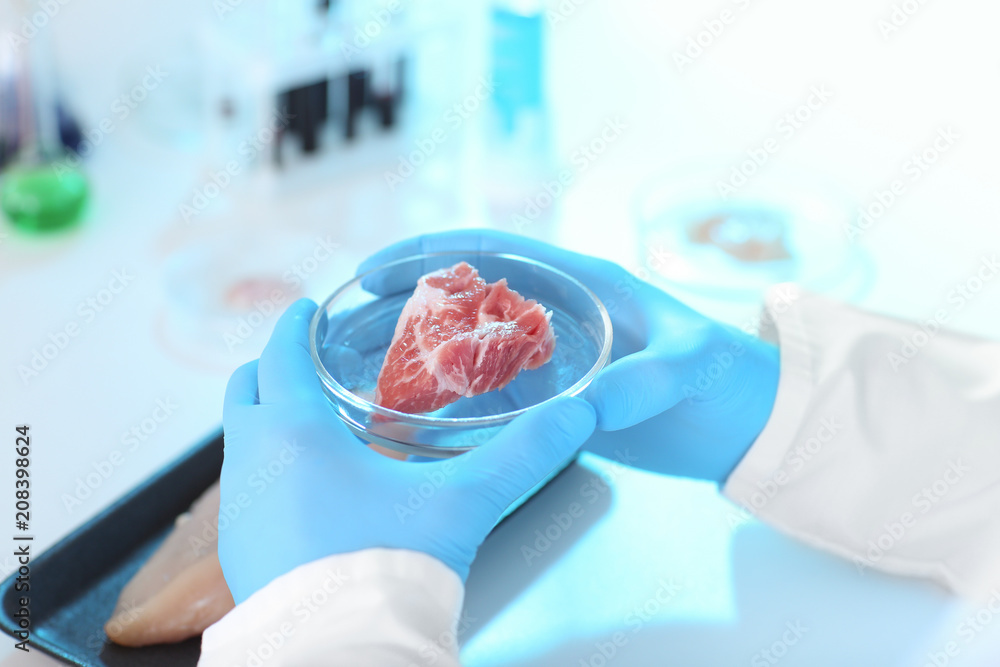 科学家在实验室拿着装有肉类样本的培养皿，特写