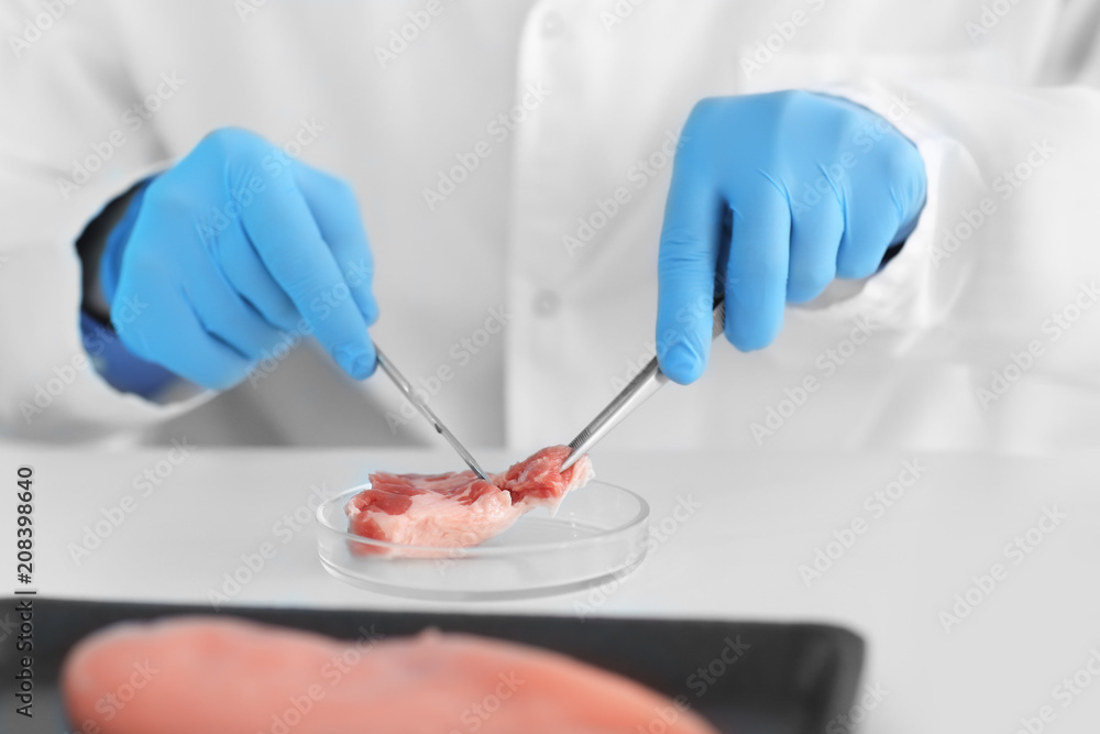 Scientist examining meat sample in laboratory