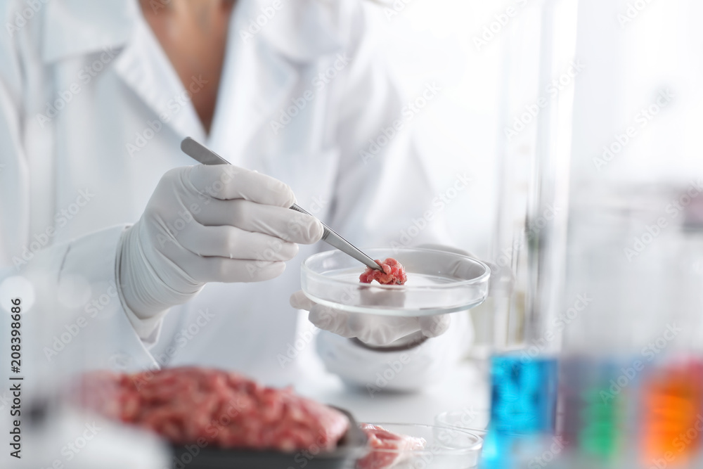 科学家在实验室检查forcemeat