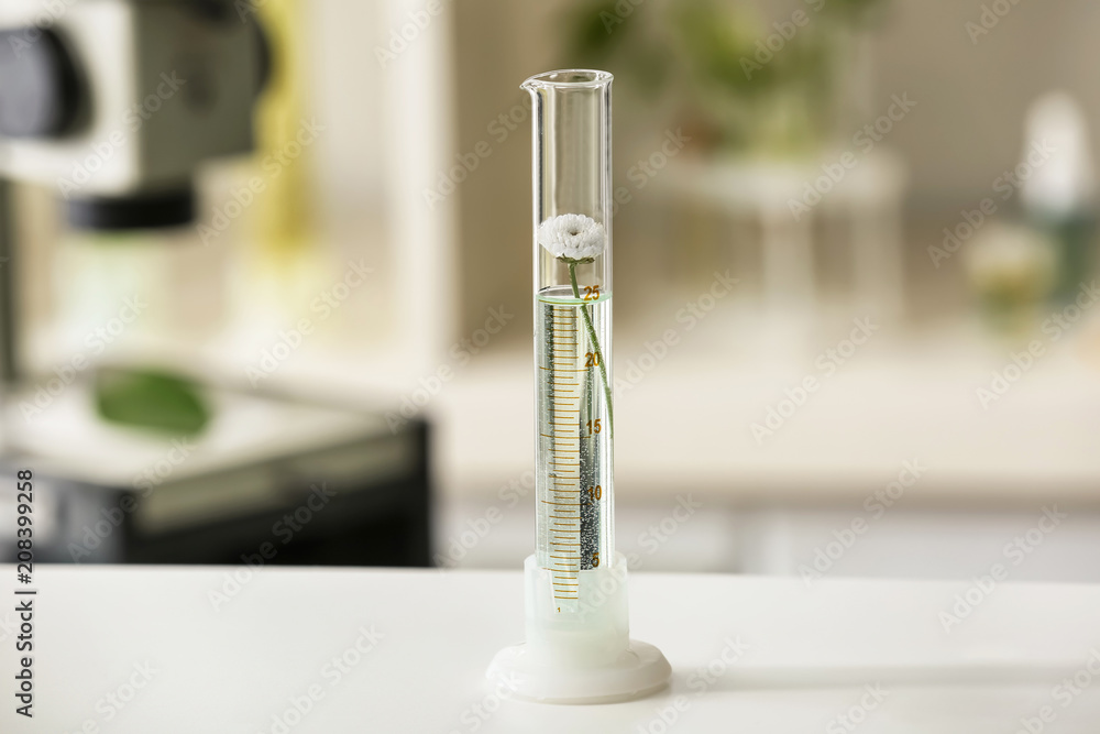 Graduated cylinder with plant on table in laboratory