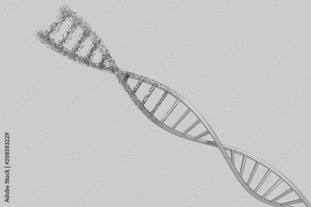 3d modeling, DNA modeling