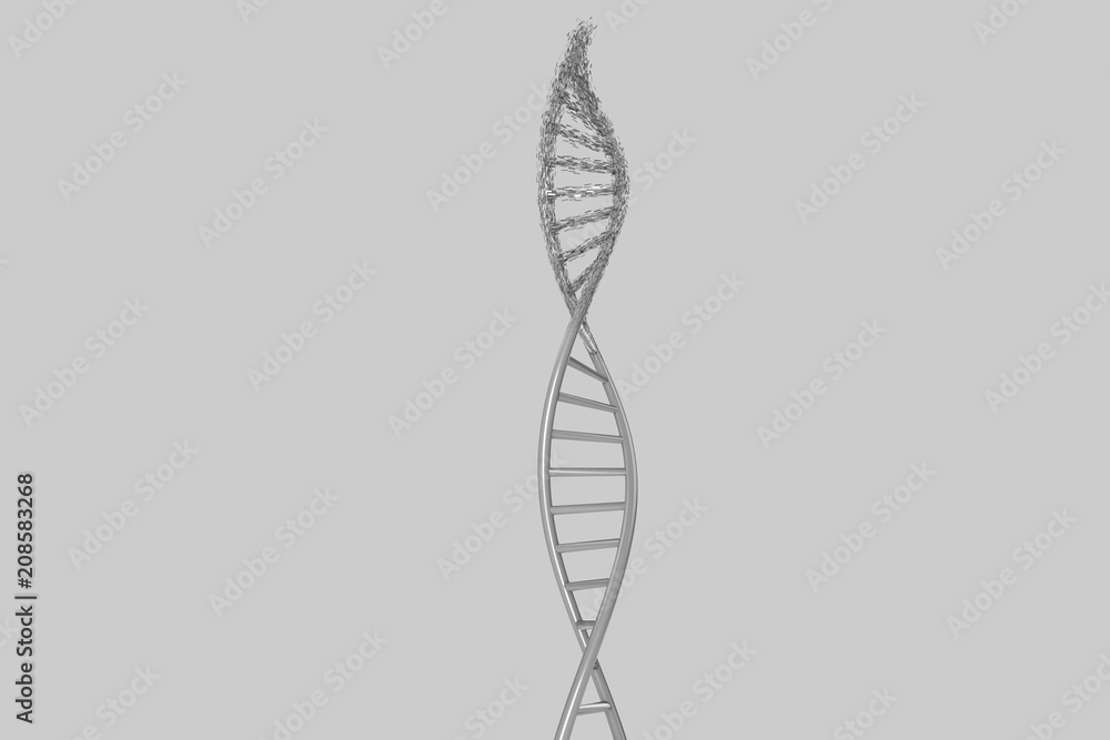 3d modeling, DNA modeling