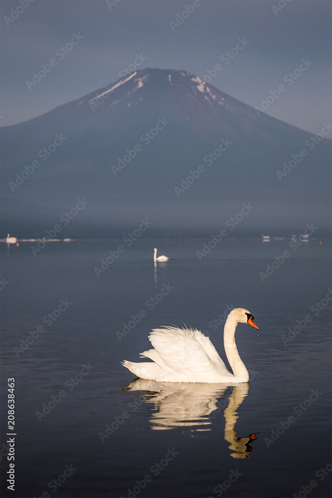 早晨在山中湖倒影的富士山