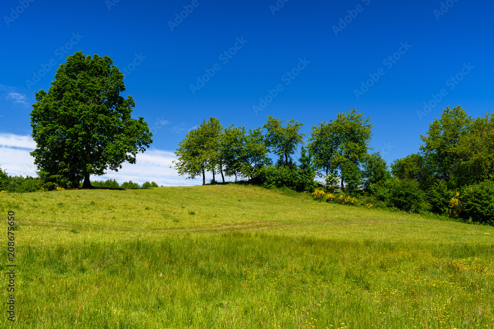 波兰风景