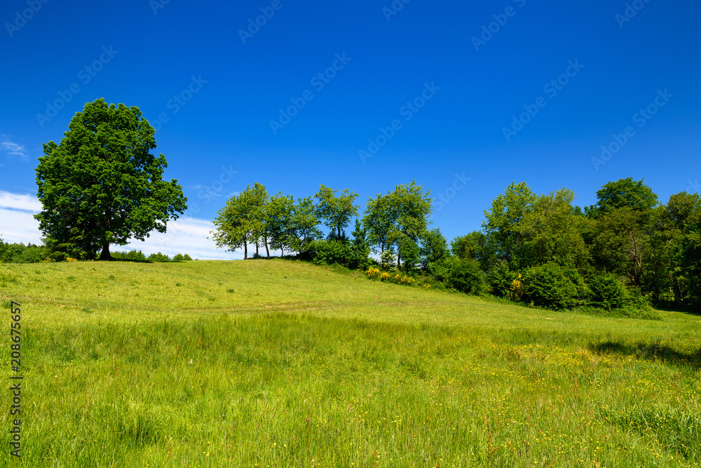 波兰风景