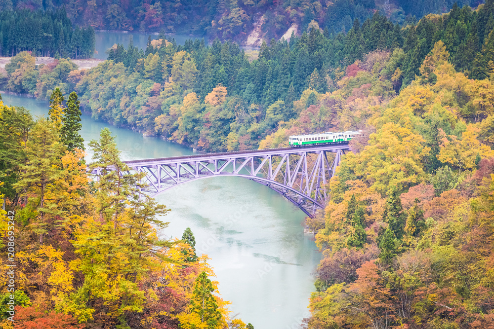 秋天的福岛三岛町田见线