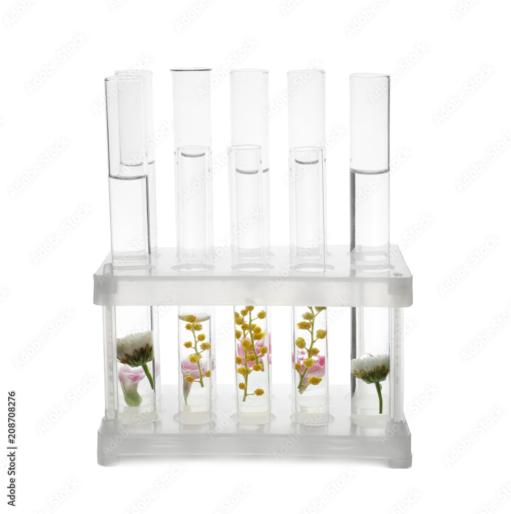 Test tubes with flowers in rack on white background