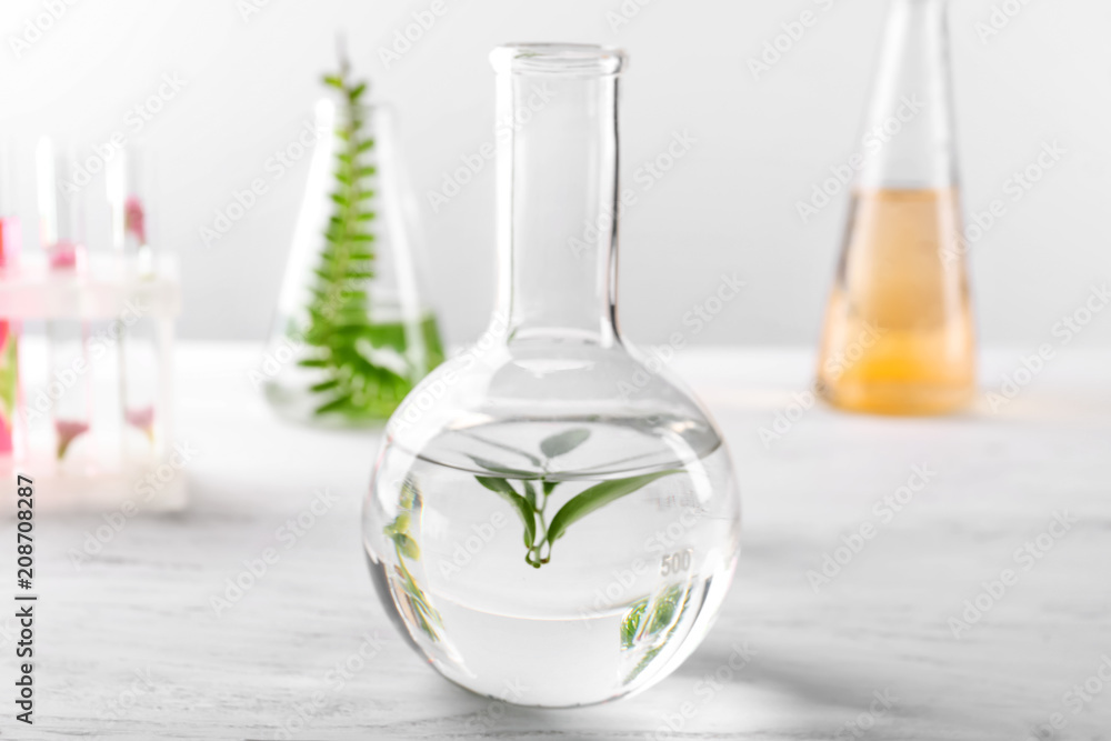 Glass flask with plant on table in laboratory